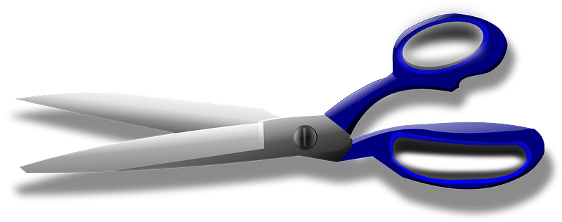 Blue Handled Scissors