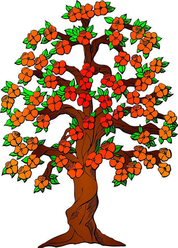 Red Blossoms on a Tree