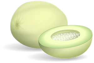 Honeydew Melon