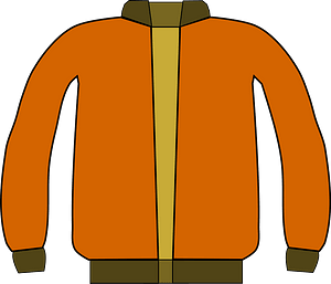 Orange Jacket