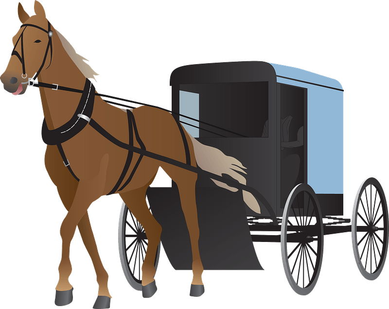 Amish Horse and Buggy