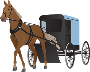 Amish Horse and Buggy