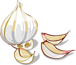 Garlic Bulb and Clove