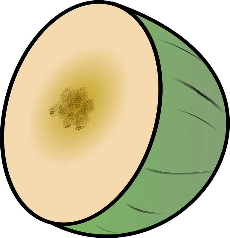 Melon
