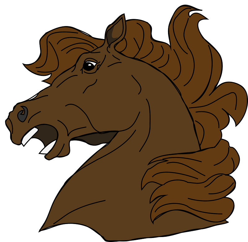 Brown horse head