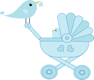 Baby Bird Perched on a Baby Stroller