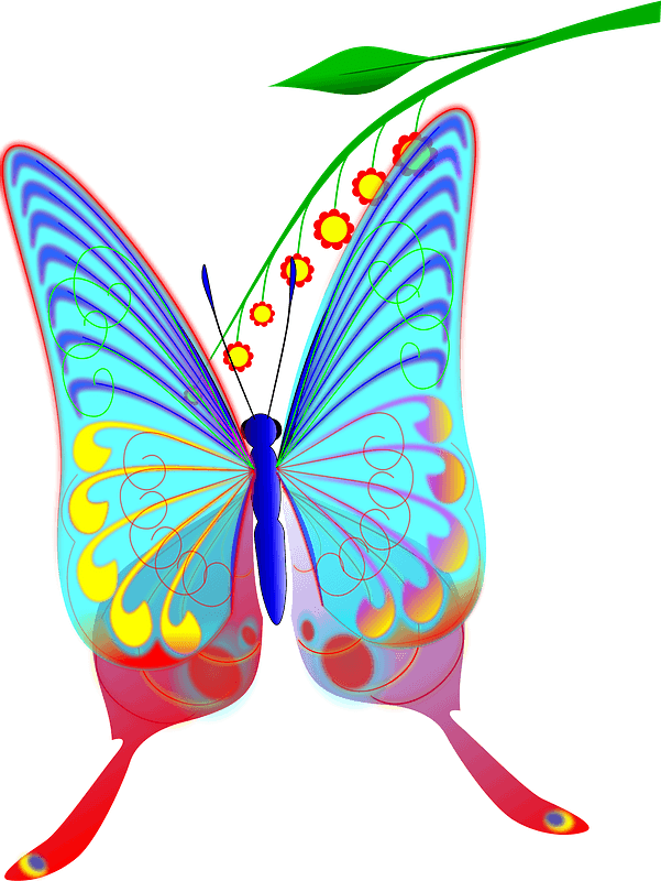 Clear Wing Butterfly