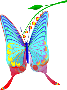 Clear Wing Butterfly