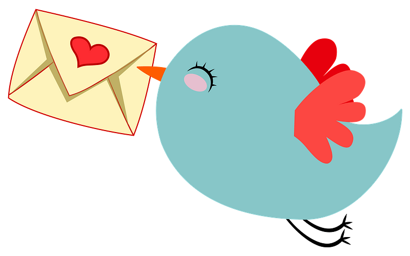 Cute Mail Carrier Bird
