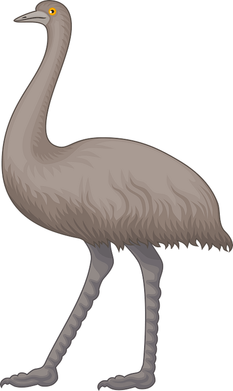Emu