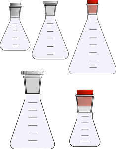 Erlenmeyer Flasks with Stoppers