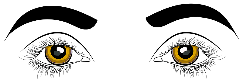 Eyes Illustration