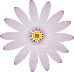 Purple Flower