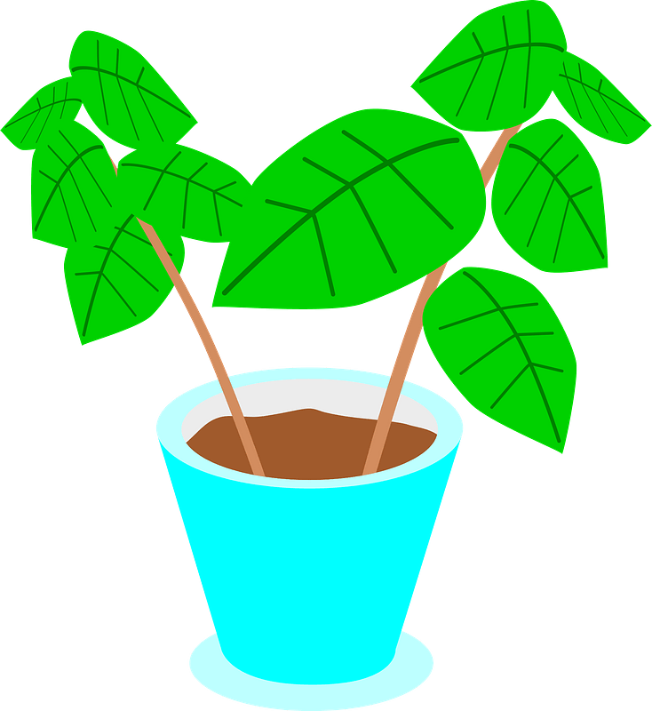 Green Plant in a Blue Pot