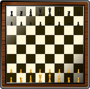 Fancy Chess Board and Pieces
