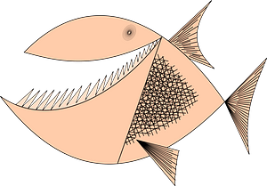 Peach Colored Fish