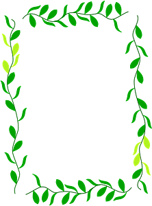 Floral Border