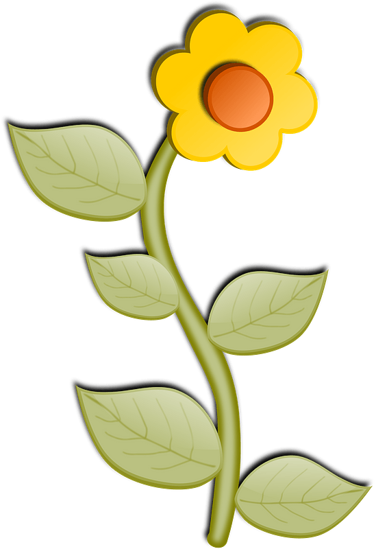 Sunflower on the Stem