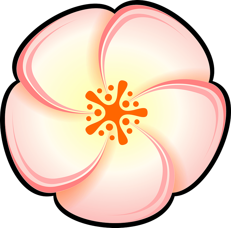 Pink Flower with Black Outline
