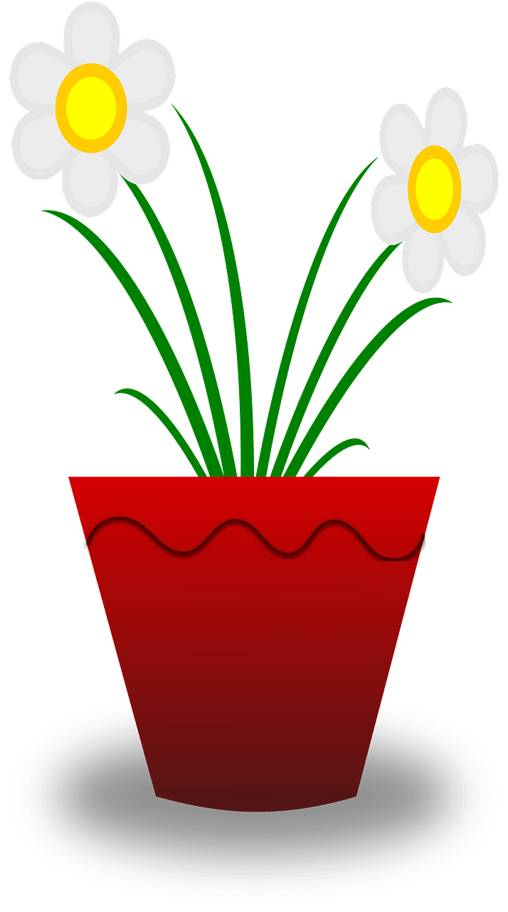 Flower Pot with White Flowers
