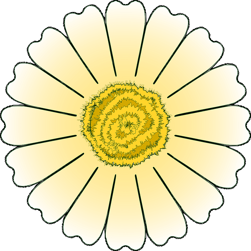 Flower Daisy