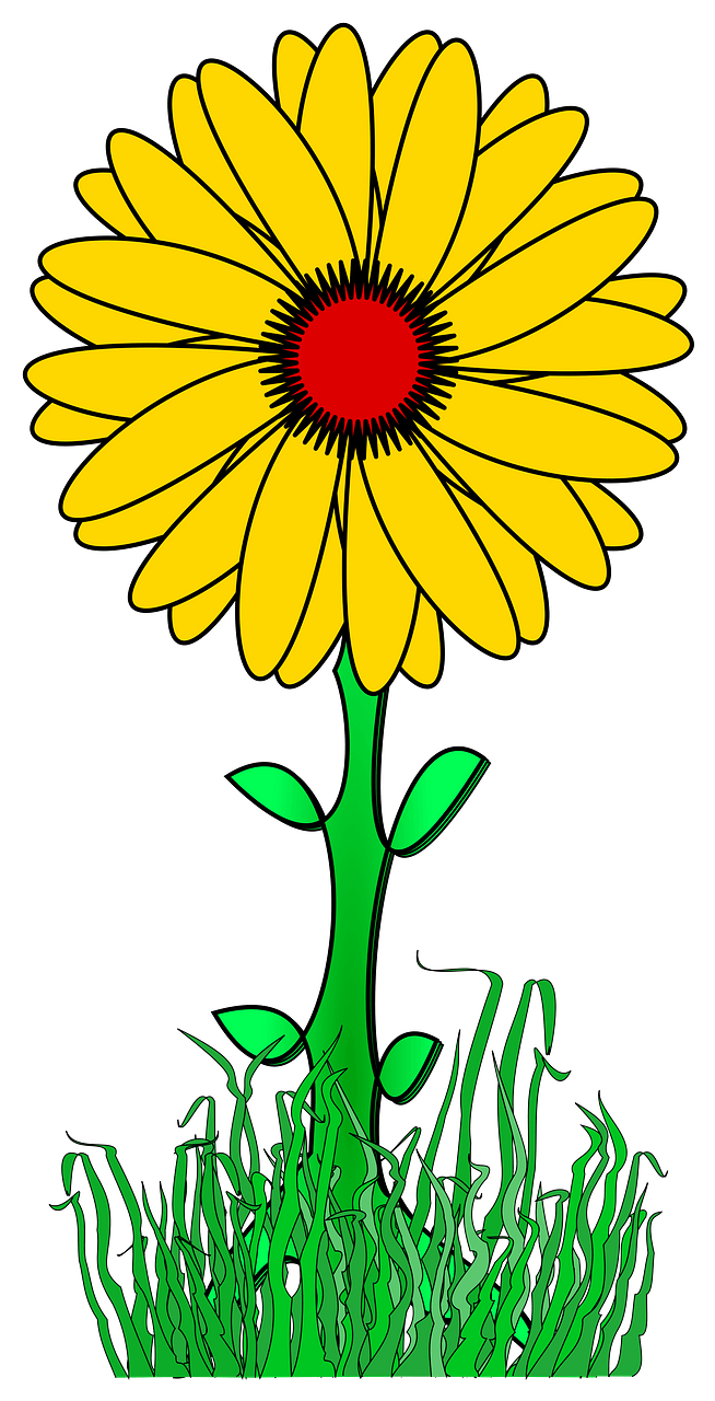 Yellow Flower on the Stem Outside