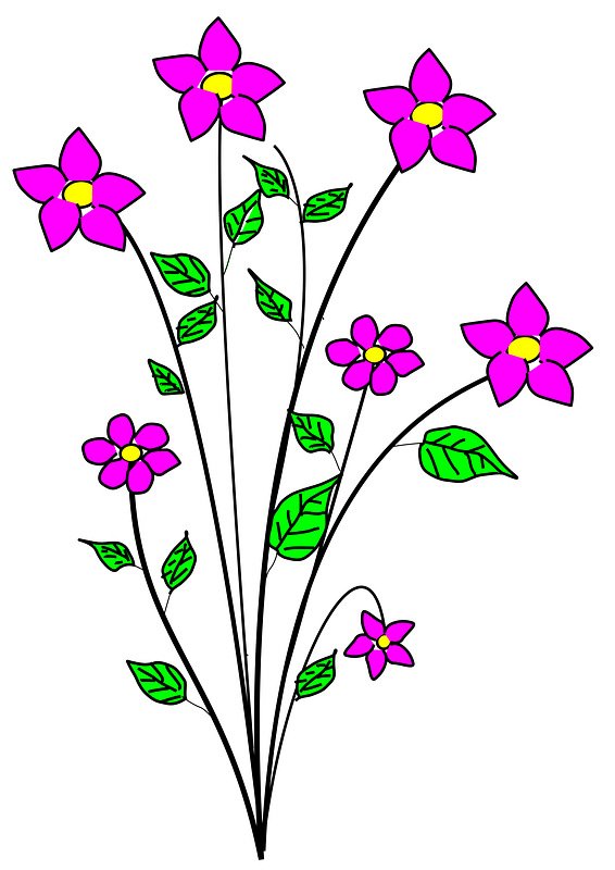 Purple Flowers