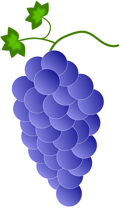 Purple Grapes