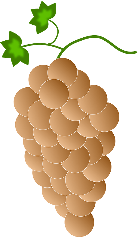 White Peach Grapes