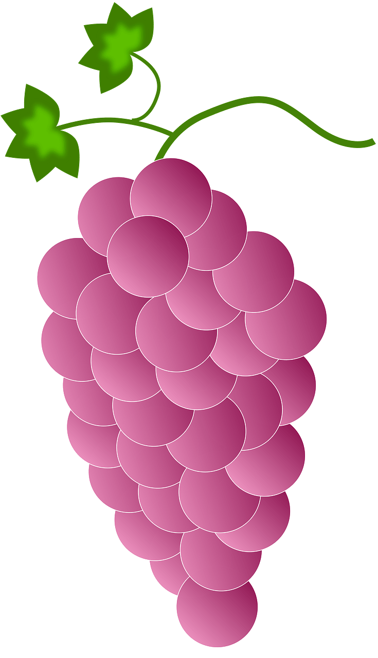 Reddish Purple Grapes