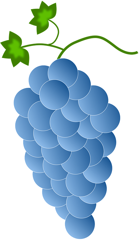 Blue Grapes