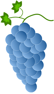 Blue Grapes