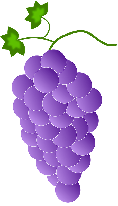 Purple Grapes