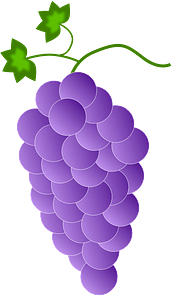 Purple Grapes