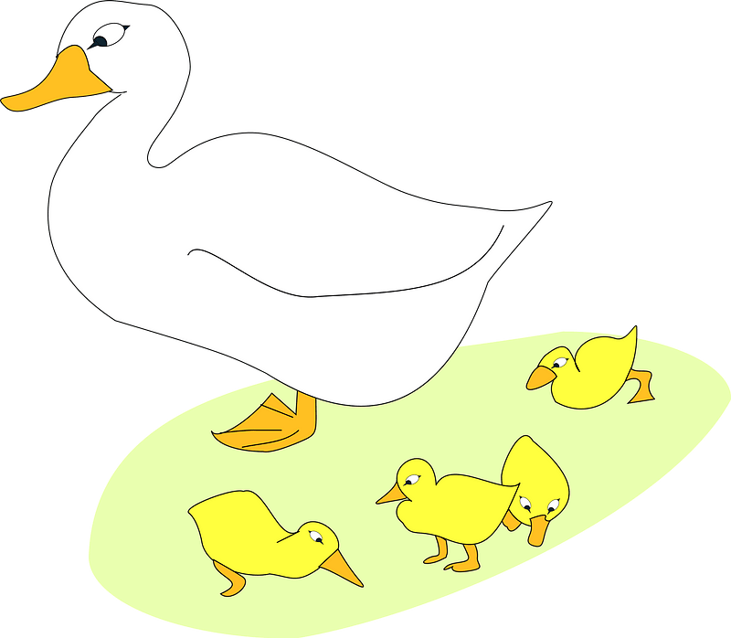 Goose and Goslings
