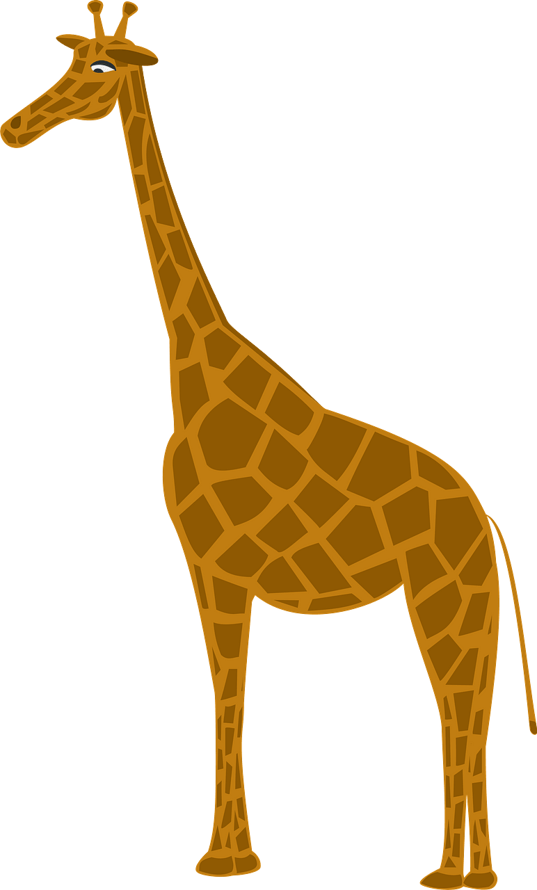 Girafe
