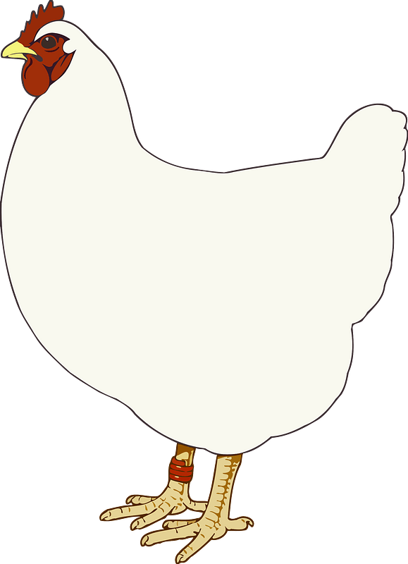 Hen