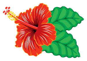Red Hibiscus