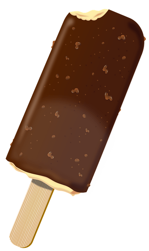 Chocolate Crunch Ice Cream Bar