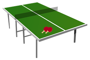 Ping Pong Table
