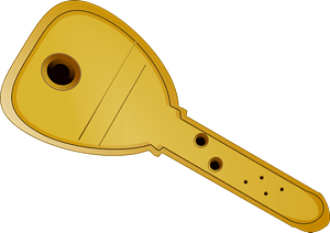 Gold Square Head Key