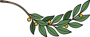 Laurel Branch