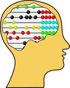 A Bicycle for Our Minds - Abacus in the Brain