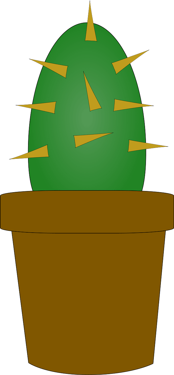 Cactus in a Brown Pot