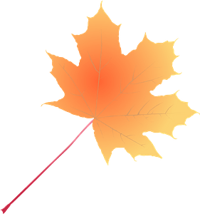 Orange Mapple Leaf