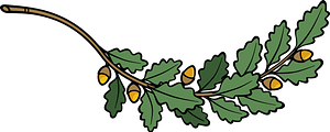 Oak Branch