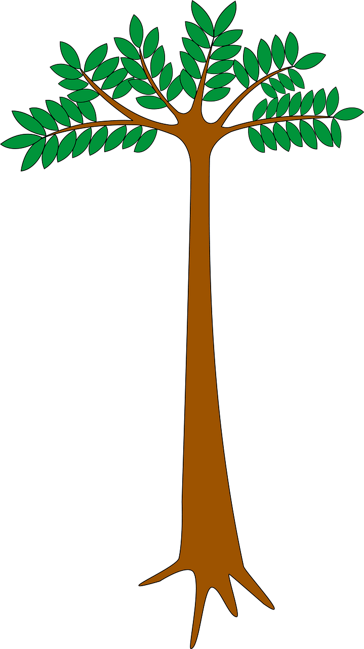 Tree with Green Leaves