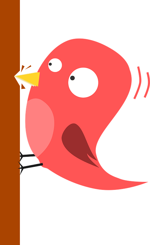 Pink Woodpecker