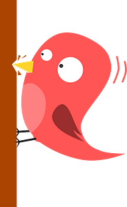 Pink Woodpecker