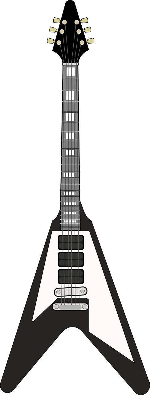 Gibson Flying V - Black and White
